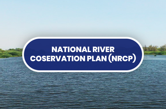 राष्ट्रीय नदी संरक्षण निदेशालय (एनआरसीडी)